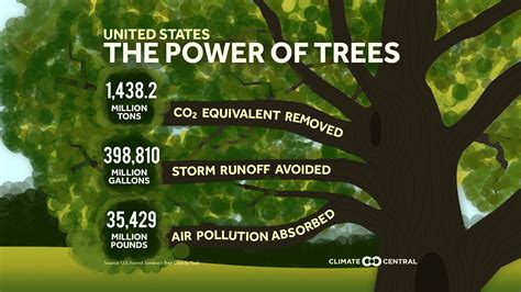 How our increasingly changing weather can impact your trees